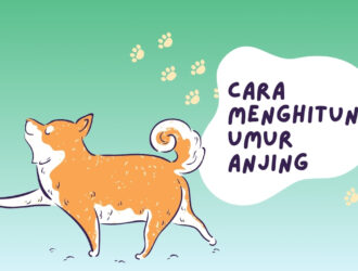 Cara Menghitung umur anjing