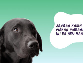 makanan beracun untuk anjing