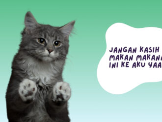 makanan beracun untuk kucing